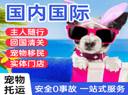 玉树巴塘航空物流国际宠物托运 【国